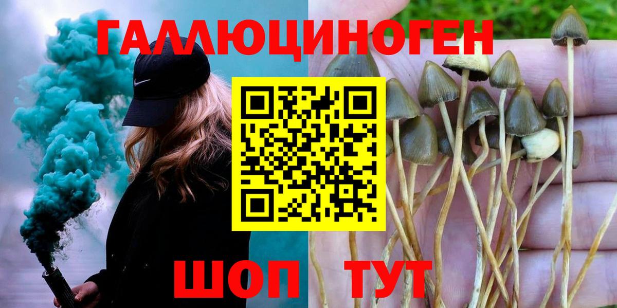 Псилоцибиновые грибы MAGIC MUSHROOMS  наркота  Серов  Вход с VPN 